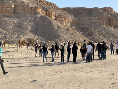 Shared Desert Adventure Experience