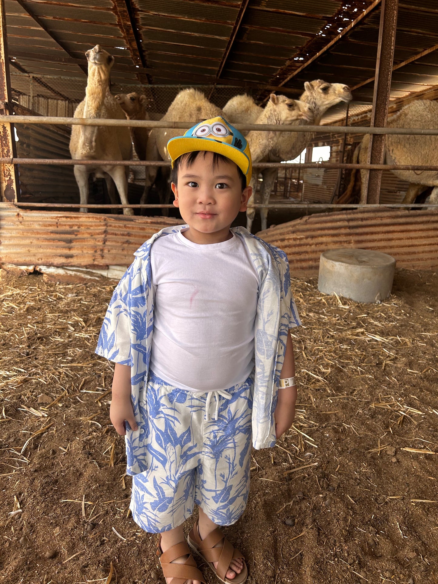 Failaka Island Guided Tour | Shared Tour