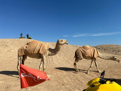 Private Quadbiking Desert Adventure